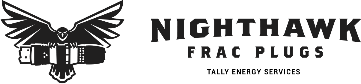 nighthawk frac plugs logo